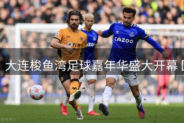 大连梭鱼湾足球嘉年华盛大开幕 国际美食音乐节同步启动